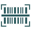 Barcode Scanning Icon